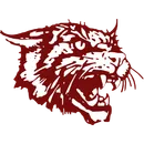 Littlefield High School logo