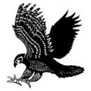 Brookwood High School logo