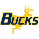 Buckhorn High School logo