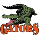 Port Allegany High School logo