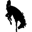 Jackson Hole High School logo