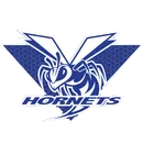 Vinita High School logo