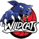 Indianapolis Home School Wildcats logo