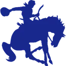 McMullen County High School logo