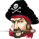 Page High School logo