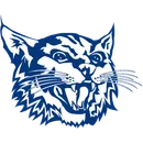 Upton High School logo