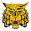 St. James High School logo