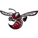 Hudson High School logo