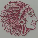 Nandua High School logo