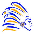 Cowanesque Valley High School logo