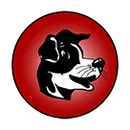 Brockway Area High School logo