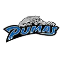 Peak To Peak High School logo