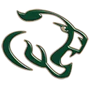 Central Hinds Academy logo