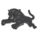 Bruton High School logo
