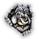 Summerfield High School logo