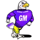 Grand Meadow High School logo