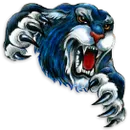 Douglas High School logo