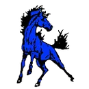 Buffalo Lake-Hector High School logo