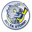 Delta Charter logo