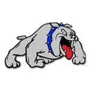Brunswick High School logo
