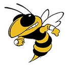Clinton High School logo