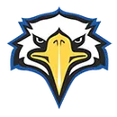Varsity Boys Basketball Chicago Vocational logo