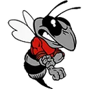 Hancock County High School logo