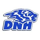 Dike-New Hartford High School logo
