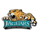 Glen Allen High School logo