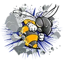 Rochelle High School logo