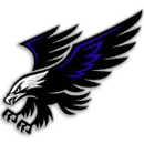 Henry High School logo
