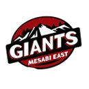 Mesabi East High School logo