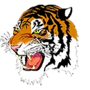 Webster High School logo