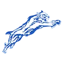 Paris High School logo