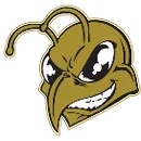 Tombstone High School logo