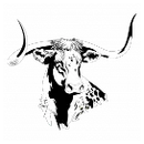 San Simon High School logo