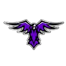 North Branford High School logo