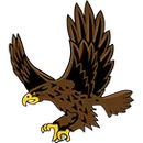 Madison-Plains High school logo