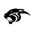 Palmer High School logo
