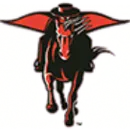 Bruce High School logo