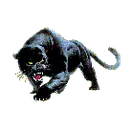 Dodson High School logo