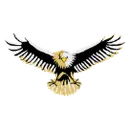 Dunlap High School logo