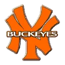 Nelsonville-York logo