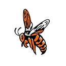 Fairview High School logo