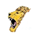 Lakewood Christian School logo