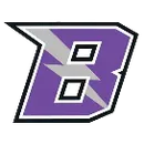 Varsity Wrestling logo