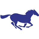 Ridgeview High School logo