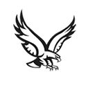 New York Mills High School logo