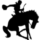 Bryson High School logo