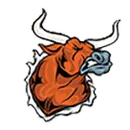 Newcastle Middle School logo